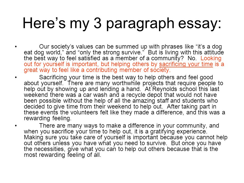 Essay writing and paragraphs